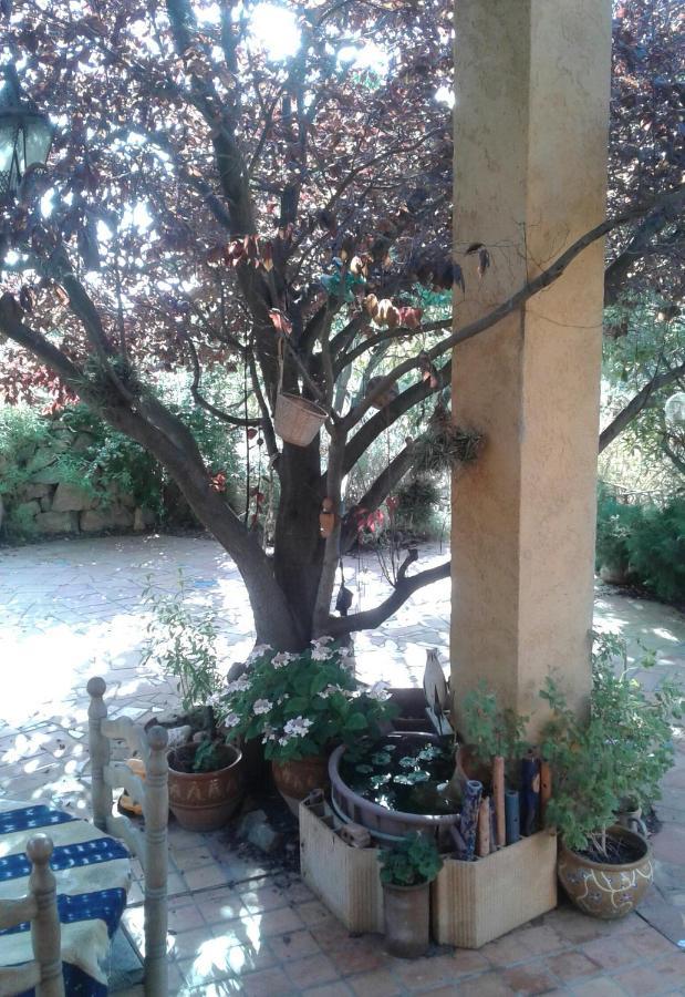 Atelier Pasquer Bed & Breakfast Fitou ภายนอก รูปภาพ